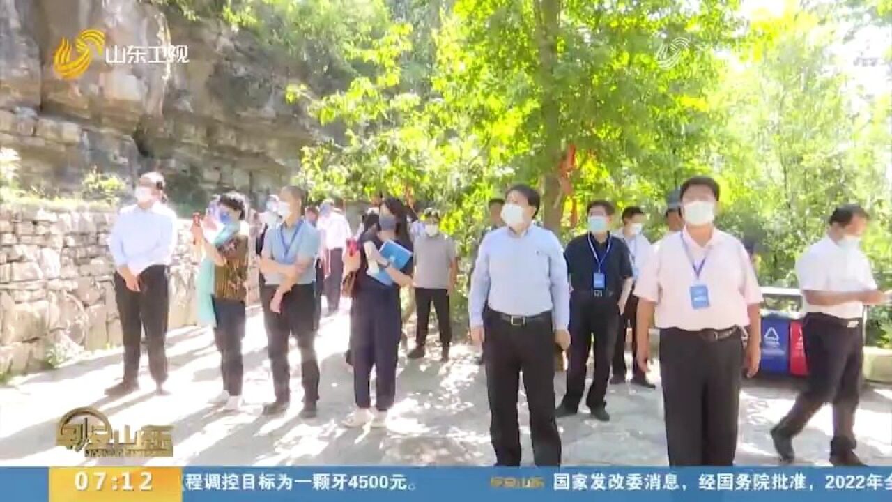 山东社科论坛大咖齐聚临沂市平邑县九间棚村,共话乡村振兴