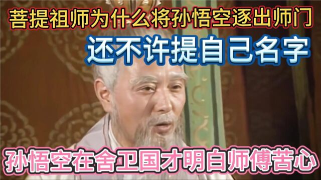 孙悟空在舍卫国才明白菩提祖师为什么那么绝情,真是用心良苦啊