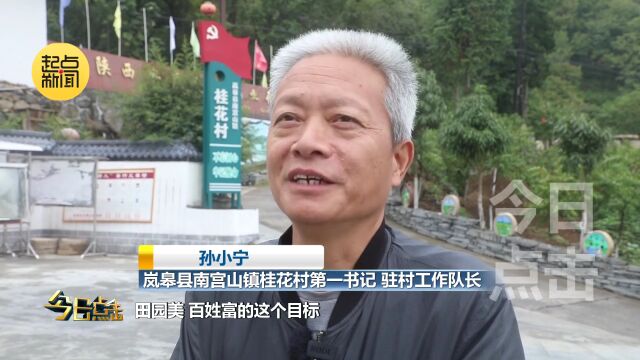 陕西电视台 | “硬核”帮扶 助力乡村振兴