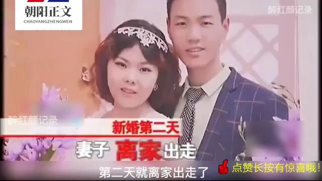 女子结婚当晚接到电话,第二天消失不见后提离婚,原因:他告我状!