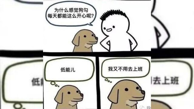 令人生草的爆笑图