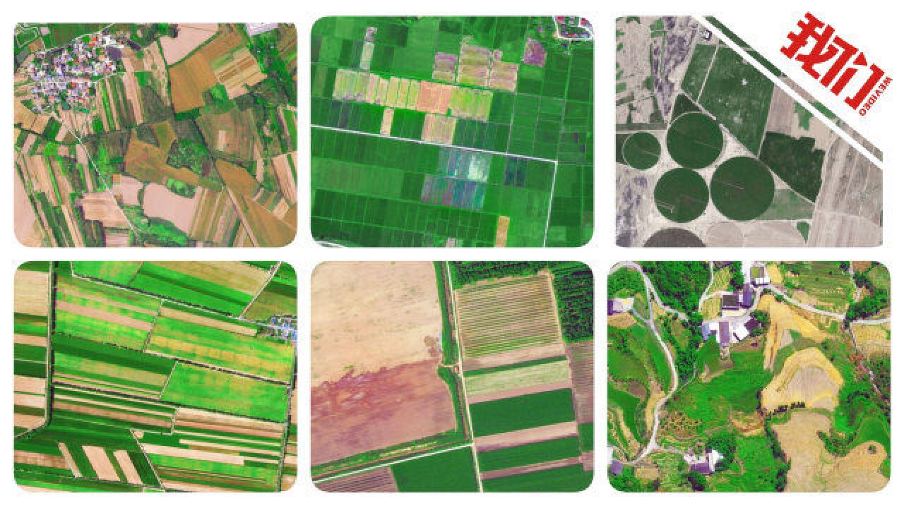 北京三号卫星带你看多地丰收:多彩田野收获喜人 田间机械清晰可见