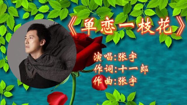 经典怀旧歌曲!张宇《单恋一枝花》唱出多少痴情人的心声!