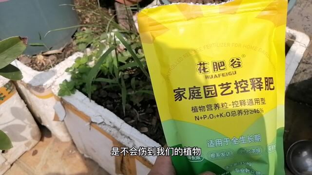 适合新手的“底肥”?比花生麸好,环保又健康