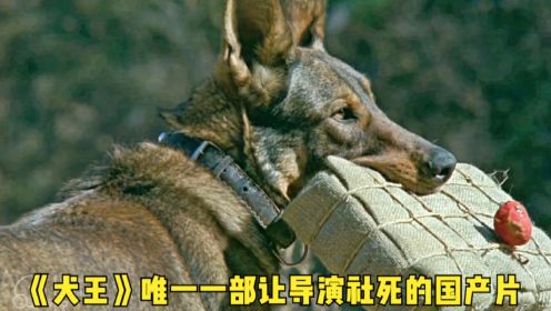 犬王：军犬为报国仇家恨，把日军赶到河里，让他们变成太监