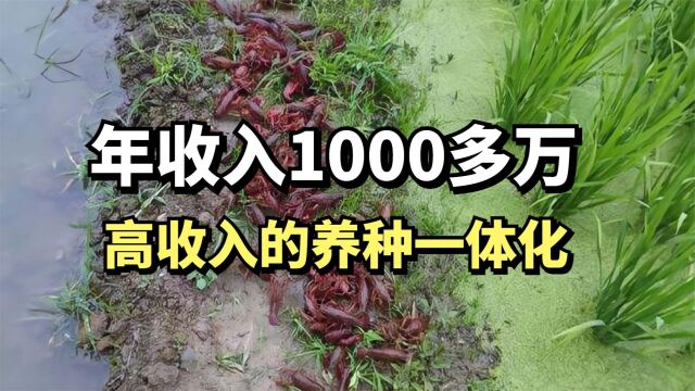 大叔龙虾水稻养殖一体化,年销售额1000多万元,他是如何做到的?