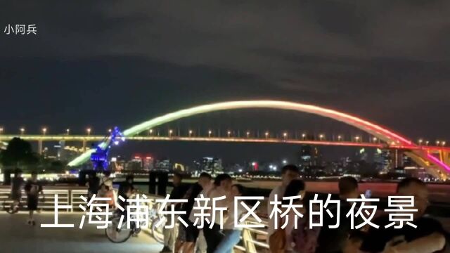 上海浦东新区桥的夜景