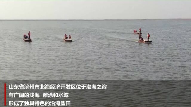 山东滨州北海:产才融合 提升盐碱滩涂养殖效益