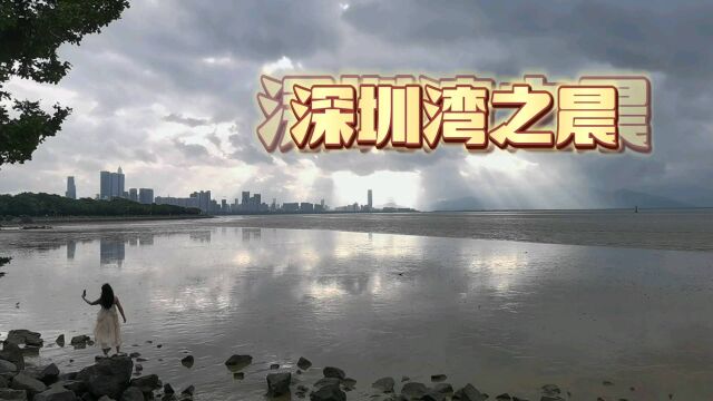 深圳湾之晨