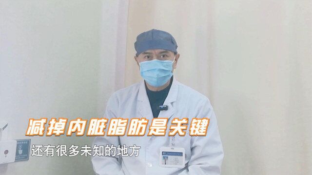 脂肪胰比脂肪肝更可怕,或与癌和多种慢病相关,注意这些生活习惯