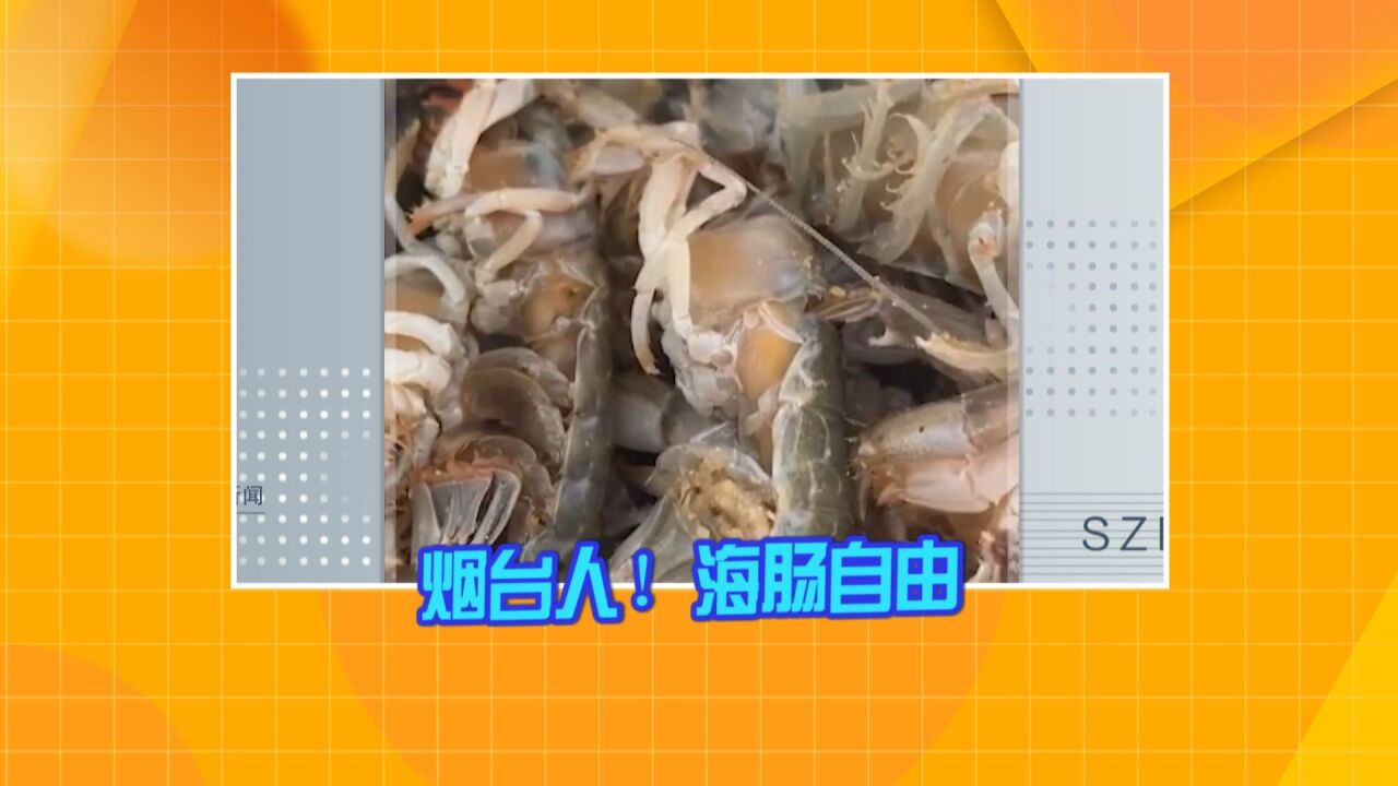 山东烟台退潮后现大量海鲜 有人一晚捞千斤海肠