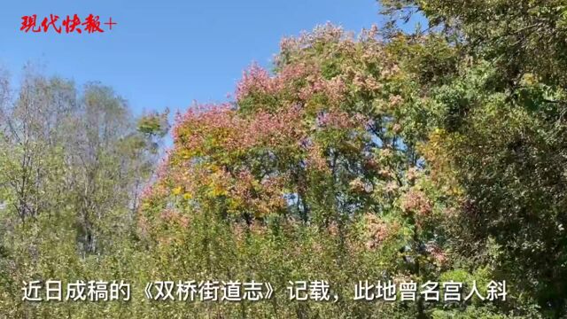 扬州这处风景宜人之地曾引得苏轼“打卡”,还和隋炀帝有关……