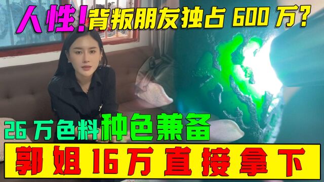 人性!背叛朋友独占600万?26万色料种色兼备,郭姐16万直接拿下