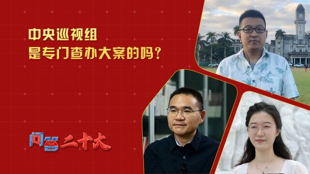 【问答二十大】中央巡视组是专门查办大案的吗?