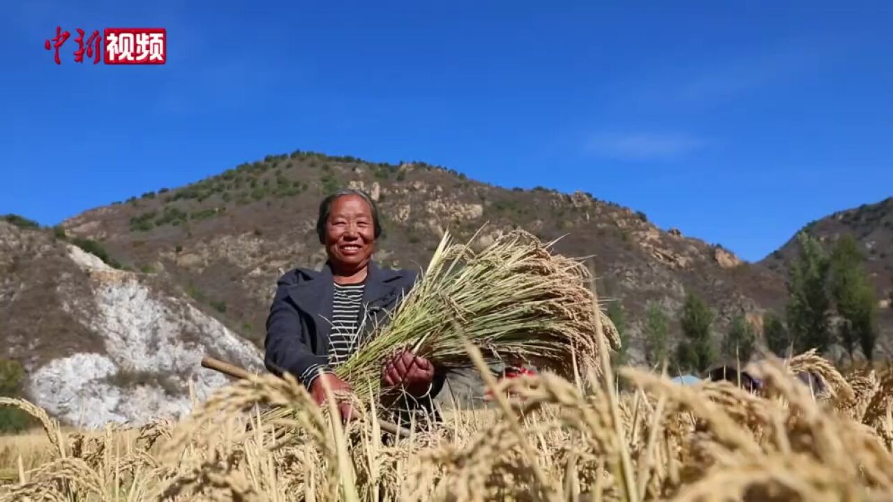 河北宽城:特色种植促乡村振兴