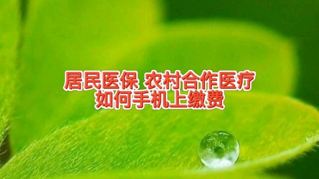 城镇居民医保,农村农民合作医疗如何手机上交费,这些人群有优惠