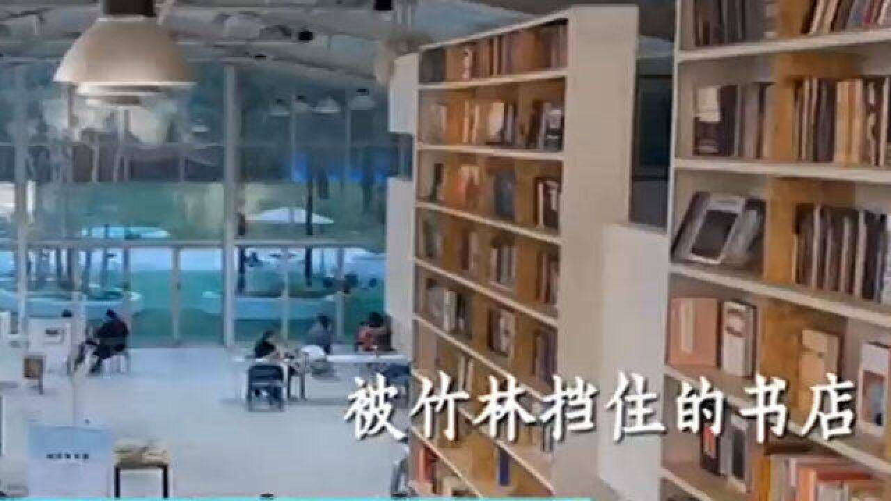 不止有景!在奥森公园,有一间“藏”在竹林里的书店