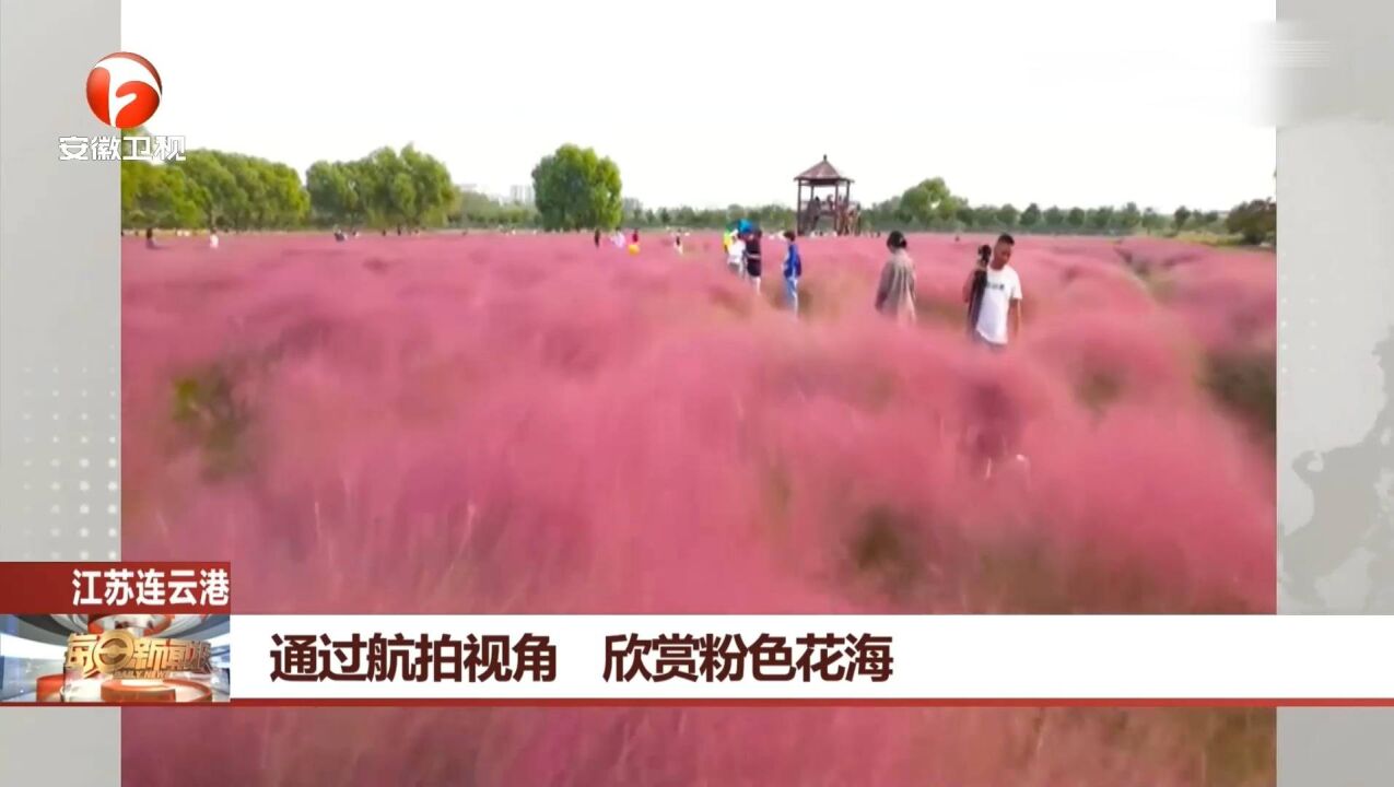 江苏连云港:通过航拍视角,带你欣赏粉色花海