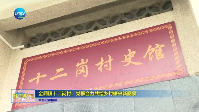 金厢镇十二岗村:党群合力共绘乡村振兴新图景