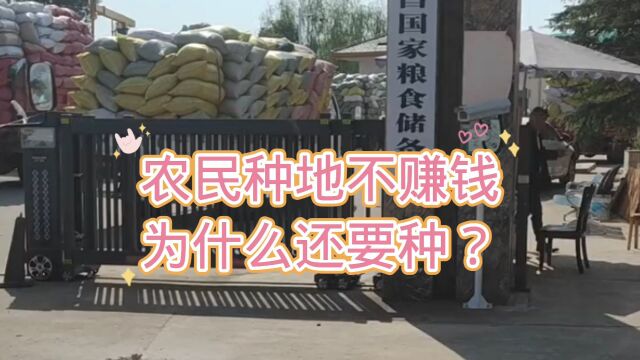 农民种地不赚钱为什么还要种?听听农民怎么说