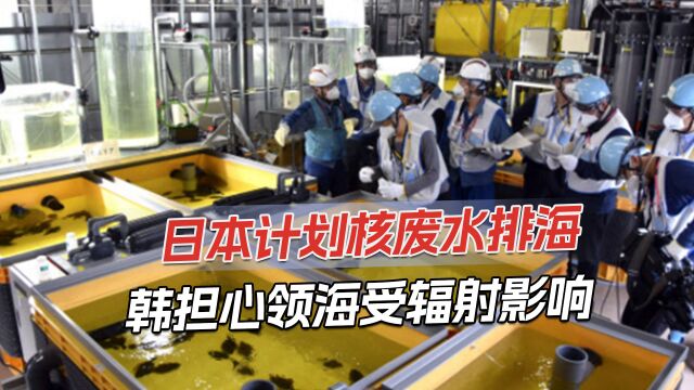 日本用核废水养鱼证明“无辐射”,韩国网友:不要排海自己留着喝