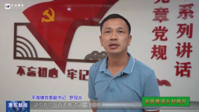 “喜迎二十大ⷦƒ 东向未来——美丽乡村行” 平海镇:全力打造“宜居、宜业、宜游、宜养”新型滨海旅游城镇