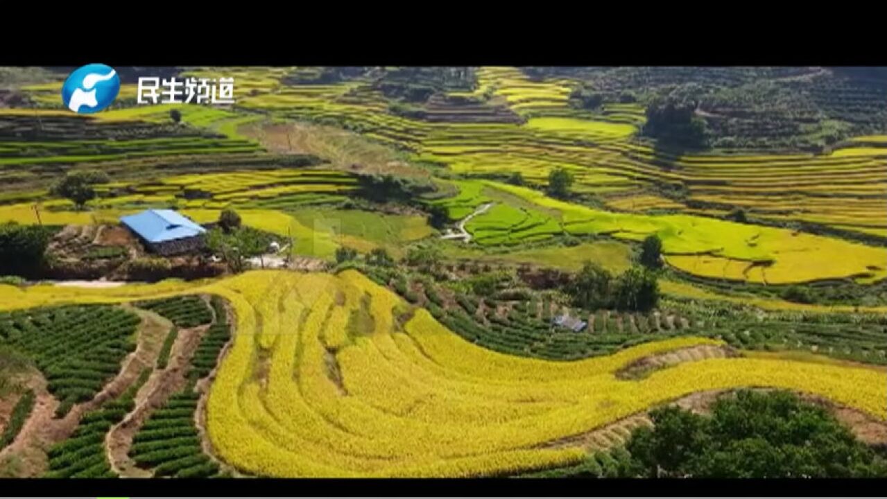 秋季最后一个节气:霜降,一年当中昼夜温差最大的时侯