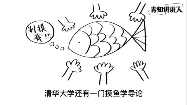 爆款大学选修课上新!听说期末作业是会爬树?