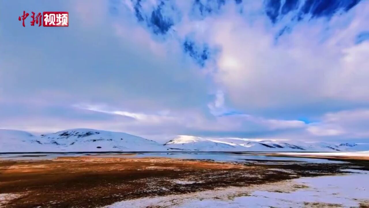 实拍雪后玉树隆宝国家级自然保护区