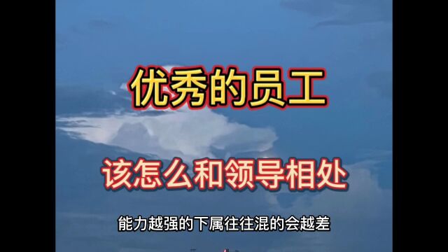 优秀的员工和领导相处,也要做到这三点,否则要吃大亏