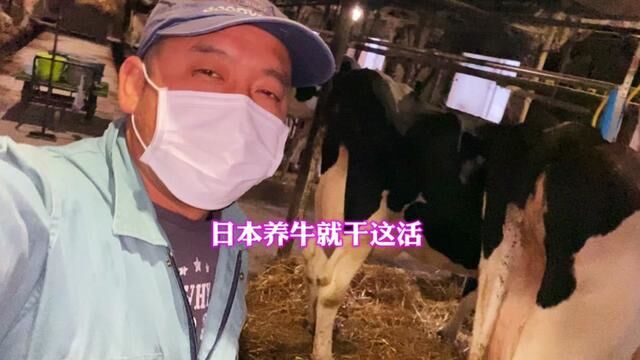 日本打工#日本打工 #日本研修生 #vlog日常 #特定技能一号签证