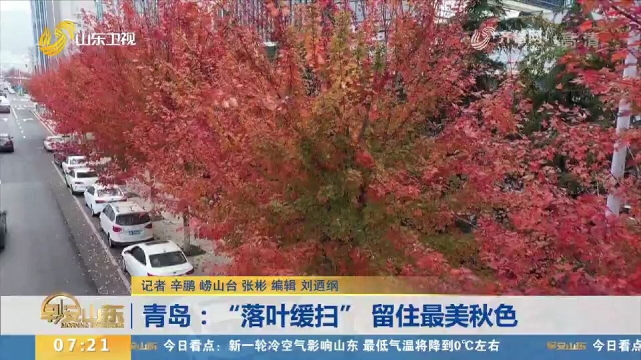 留住秋色!青岛多条道路实施＂落叶缓扫＂,方便市民就近欣赏美景