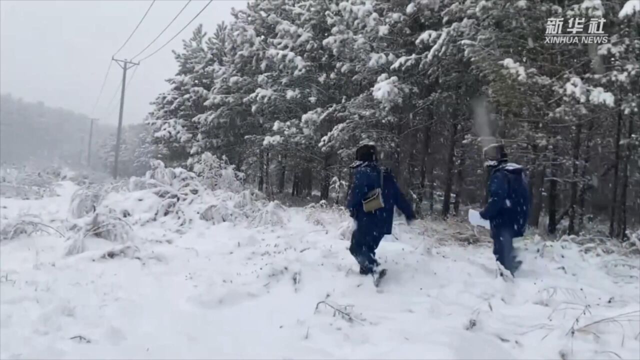 新华全媒+|大兴安岭地区:积极应对突降大雪 保电网安全运行