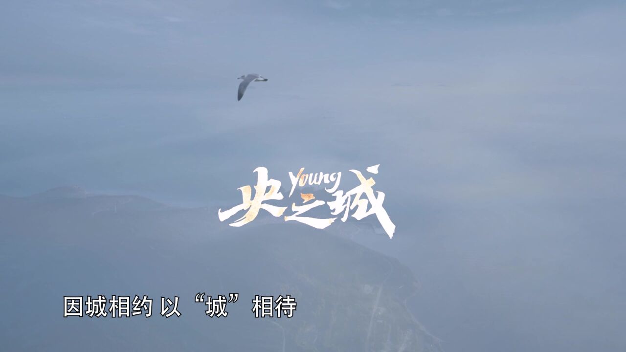 央Young之城