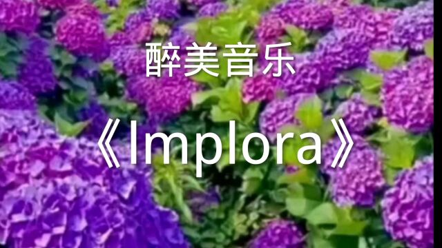 醉美音乐《lmplora》