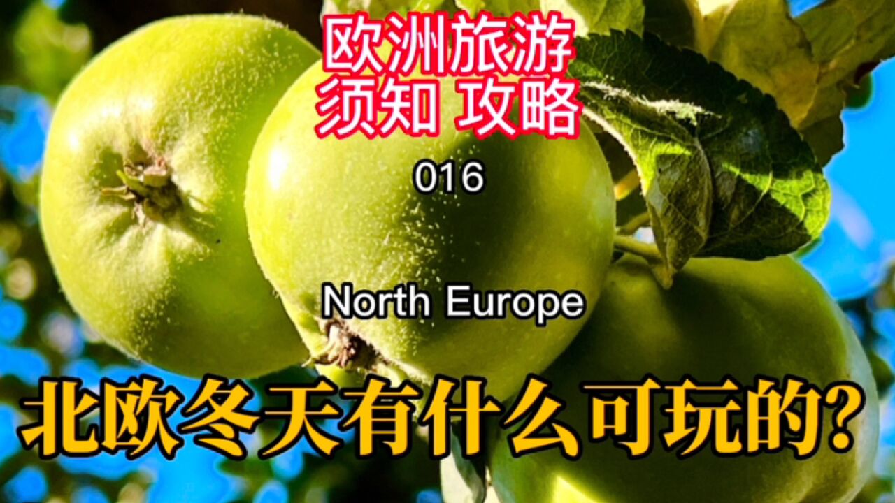 欧洲旅游须知攻略016 北欧冬天有啥可玩?下