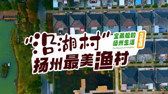 现实版“向往的生活”之【宝藏般的扬州生活】第二期方巷镇沿湖村