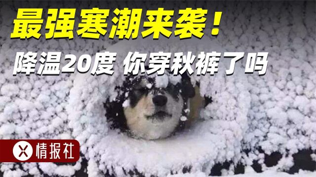 入冬以来最强寒潮来袭,气温暴跌20度,为啥今年寒潮这么强?