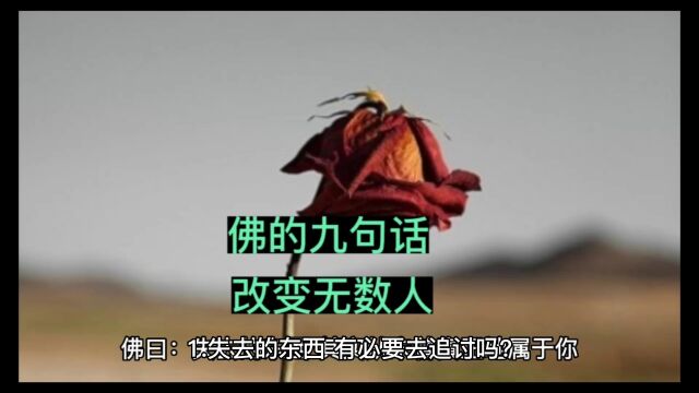 佛的九句话改变无数人