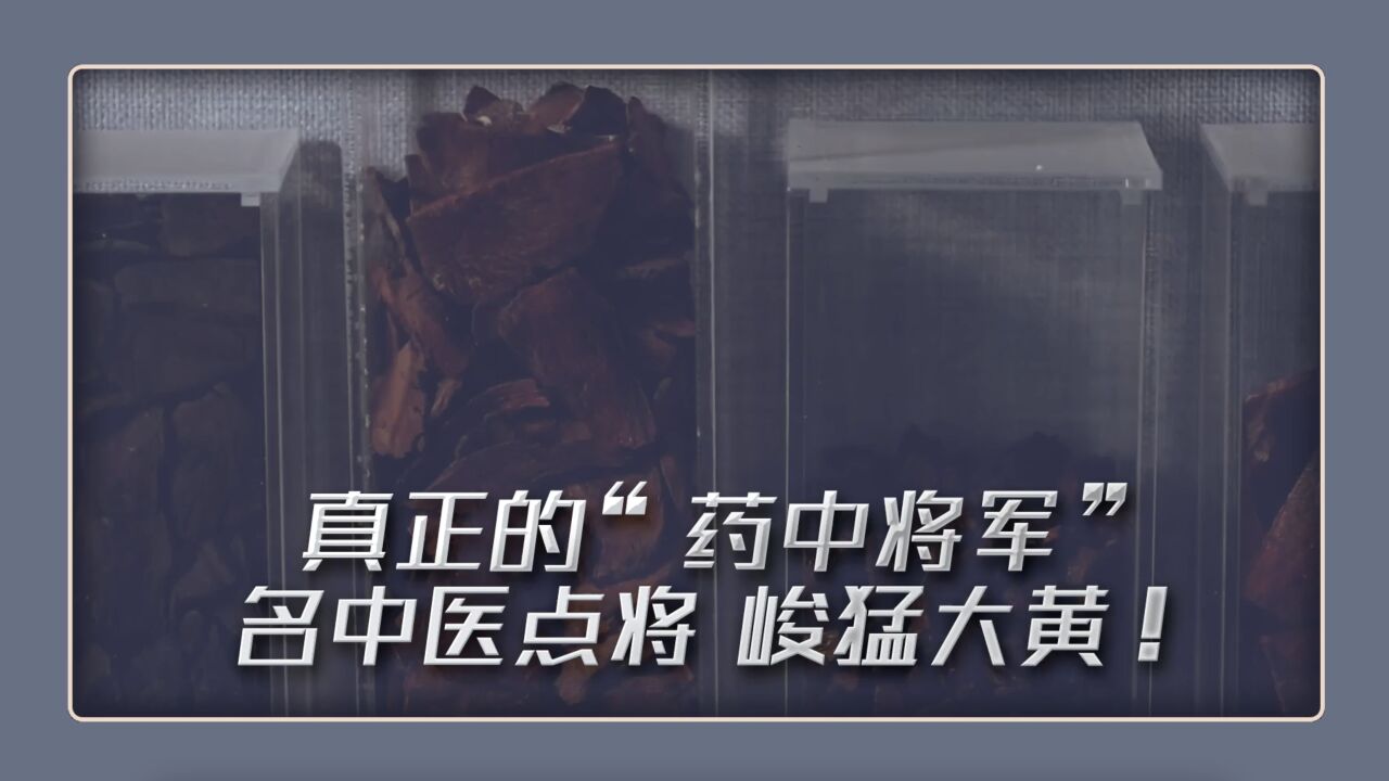 真正的“药中将军” 名中医点将 峻猛大黄