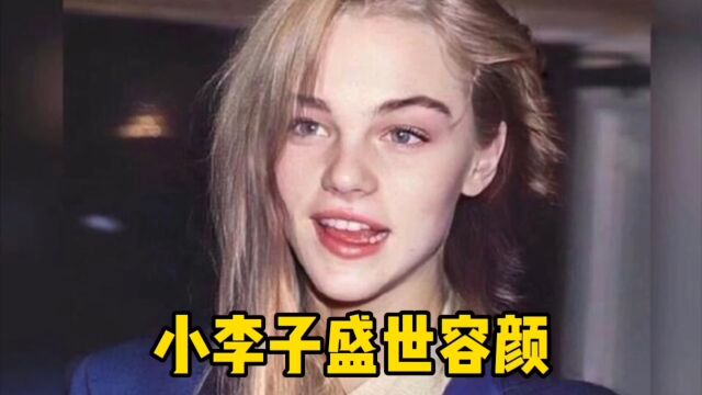 莱昂纳多盛世容颜