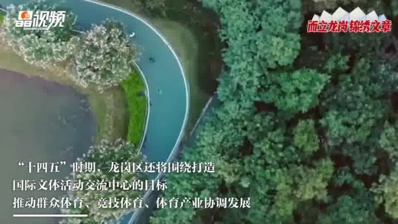 燃!深圳龙岗以体育为抓手,打造“活力之城”