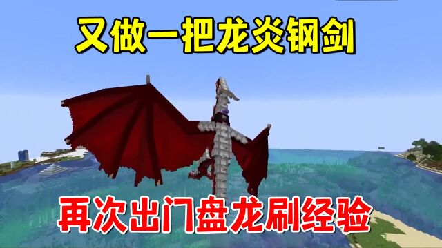 我的世界冰火传说68:又做一把龙炎钢剑,再次出门盘龙刷经验