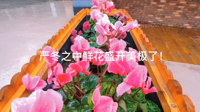 长宁区首条“智慧健身步道”建成开放!