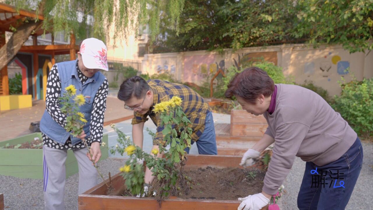 上海居民社区参与做得有多好?一个小花园建设 既要公示还要让居民参与运维