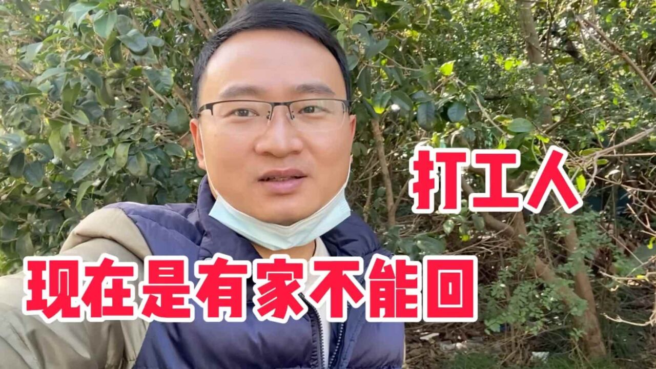 还有1个多月就过年了,今年可能又回不去了,小伙打算就地过年