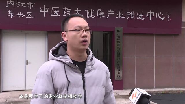 东兴区:凝心聚力引才育才 多措并举用才留才