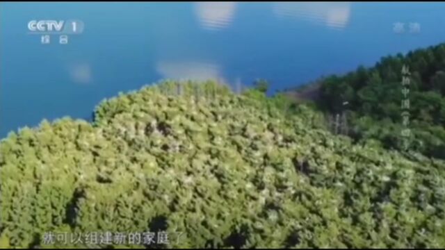 美丽弓长岭