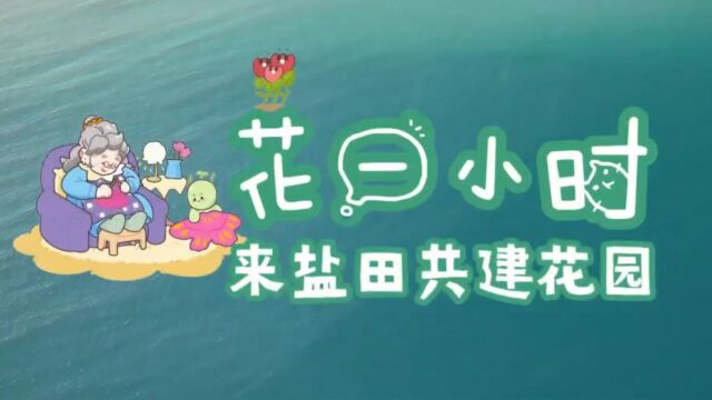 “花一小时,来盐田共建花园”盐田共建花园视频