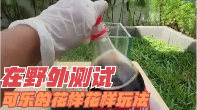 可乐与各种物品生物产生的科学反应是不是都是正确的,那测试效果